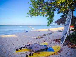 Paddle boards Palm Beach Aruba