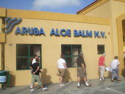 Essence of Aruba Wix Tours