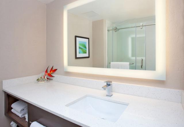 Holiday-Inn-Resort-Aruba-StandardGuestBath.jpg