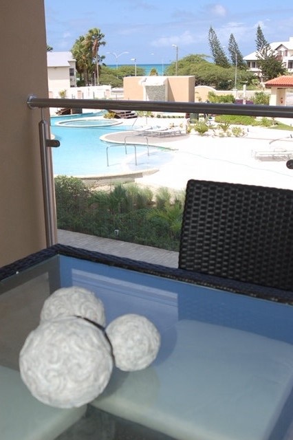 view to the pool.jpg