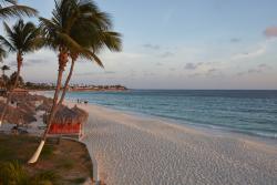 Divi_Aruba_Beach_3.jpg