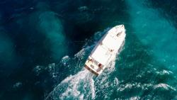 carla charters deep sea fishin aruba.jpg