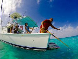 catch the fish aruba carla charters deep sea.jpg