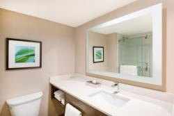 Aruba-Holiday-Inn-Guest-Bathroom.jpg