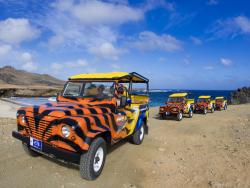 abc-tours-jeep-safaris.jpg