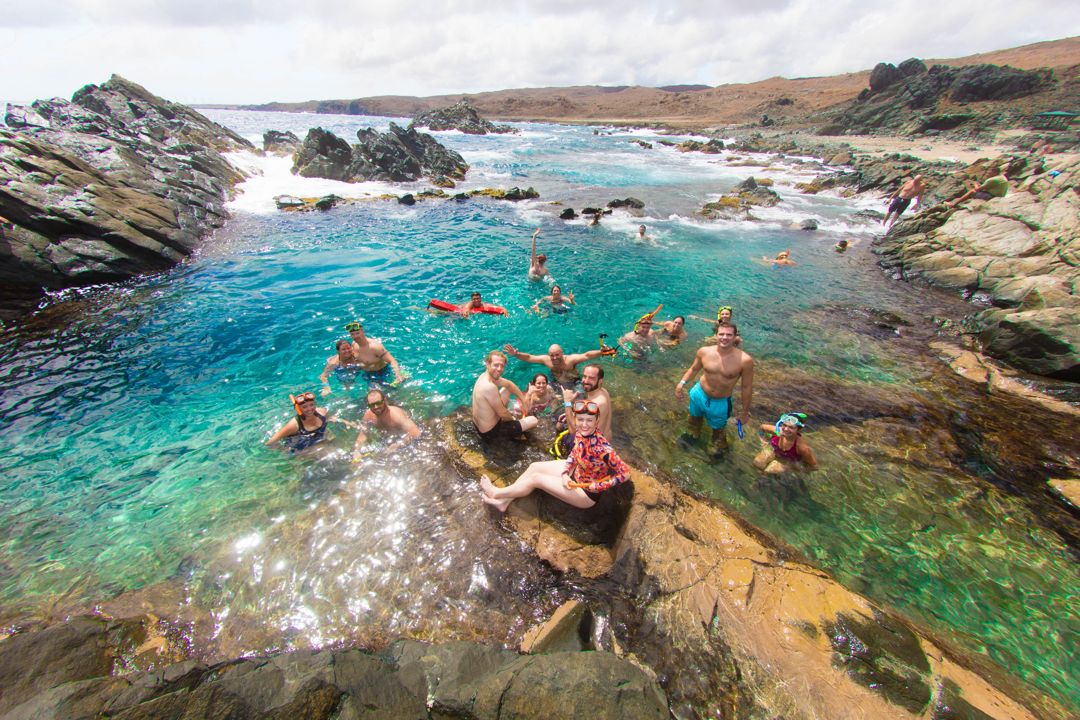 Island Natural Pool Safari.jpg