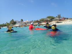 Turtles &amp; Seabob Aruba Tour 