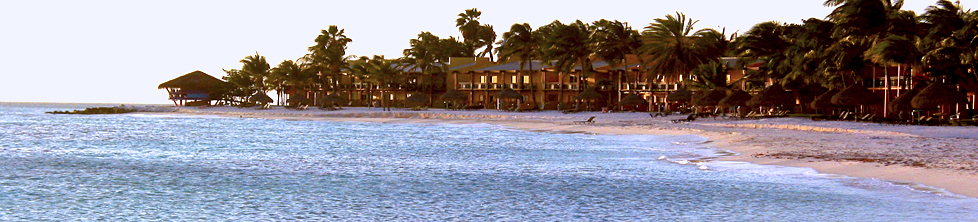 divi-beach-hotel